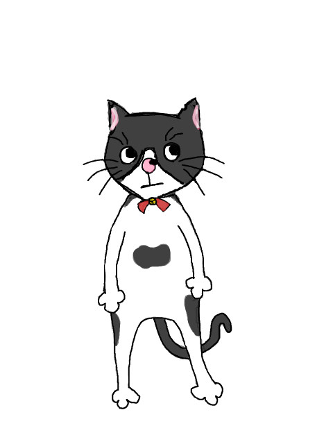 うちの猫