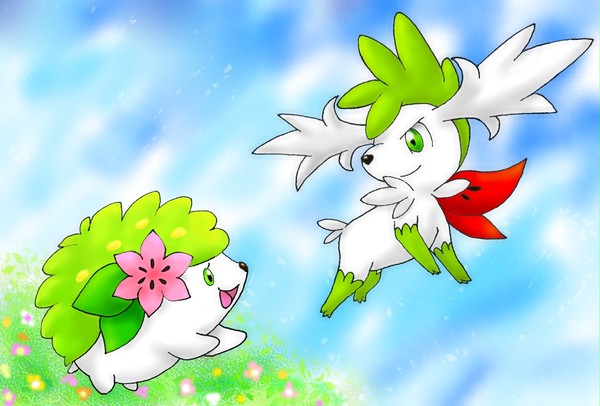 Wシェイミ