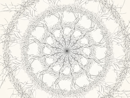 模様?