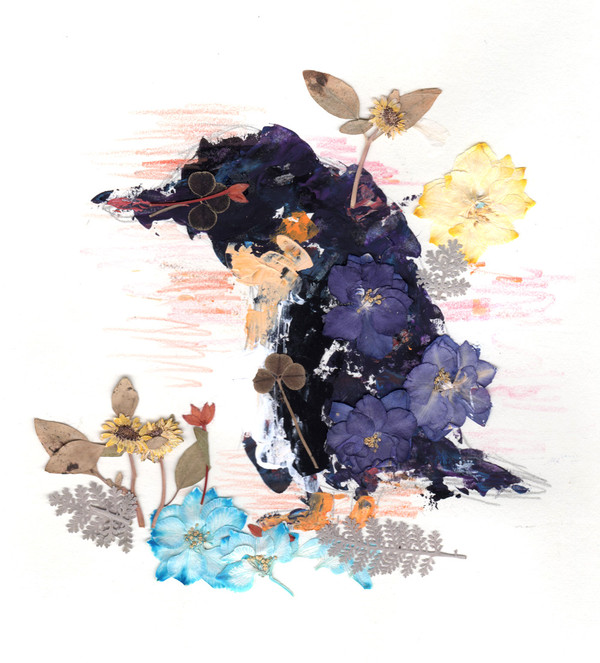 ペンギン