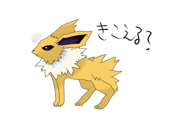 サンダース