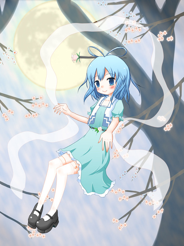 青娥にゃん