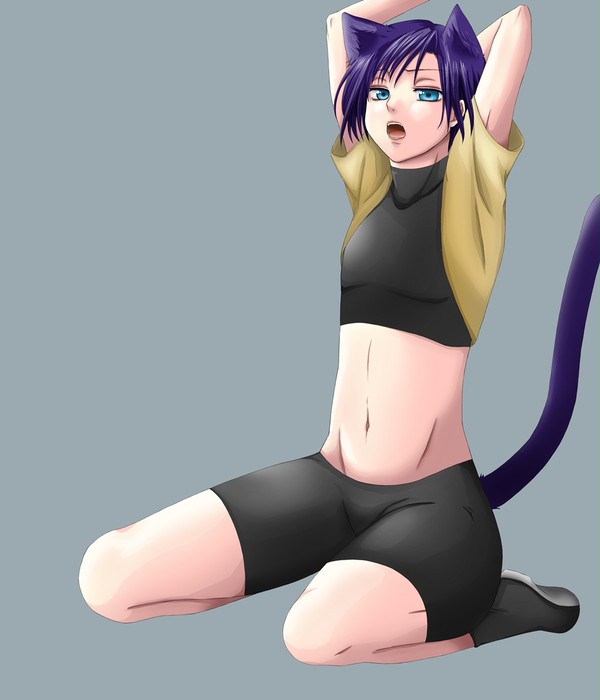 退屈猫
