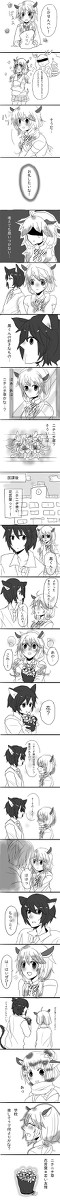 【けもがく】ニチニチソウ【交流】