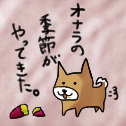 焼きいも。