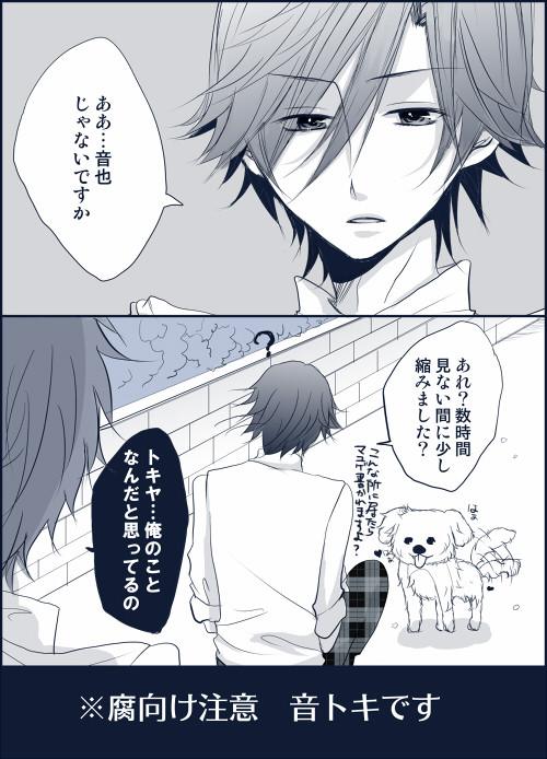 【腐向け】音トキのあれな漫画
