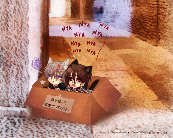 捨て猫　ぜろりん＆枢たま
