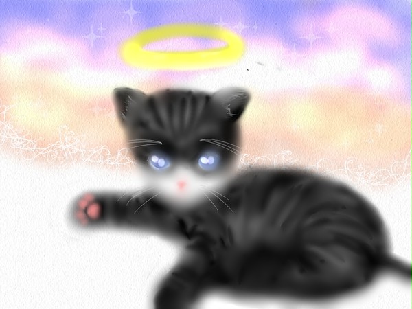 ありがと　ねこさん。