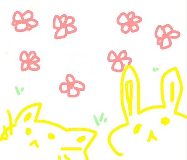 Kawaii!!