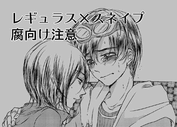【腐向け】レギュスネ詰め合わせその2