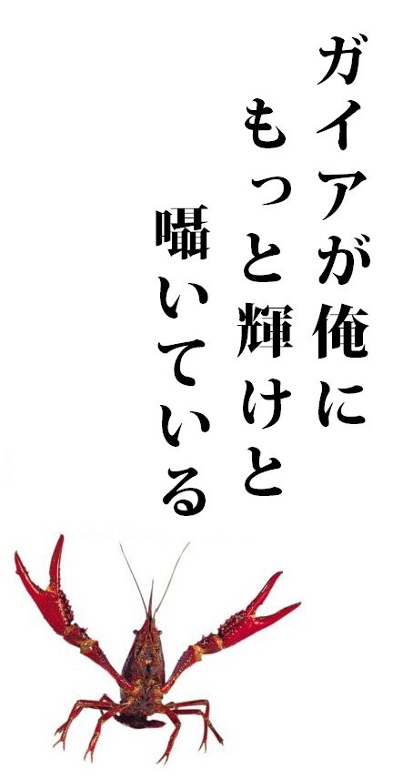 真紅のザリガニ
