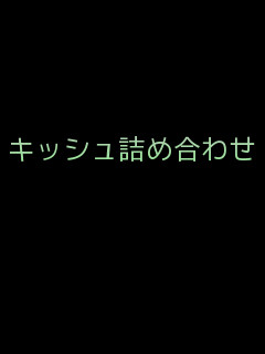 【アナログ】キッシュ詰め合わせ【東京ミュウミュウ】