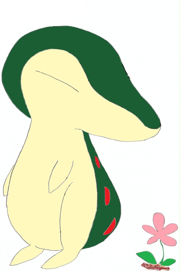 お花みっけ