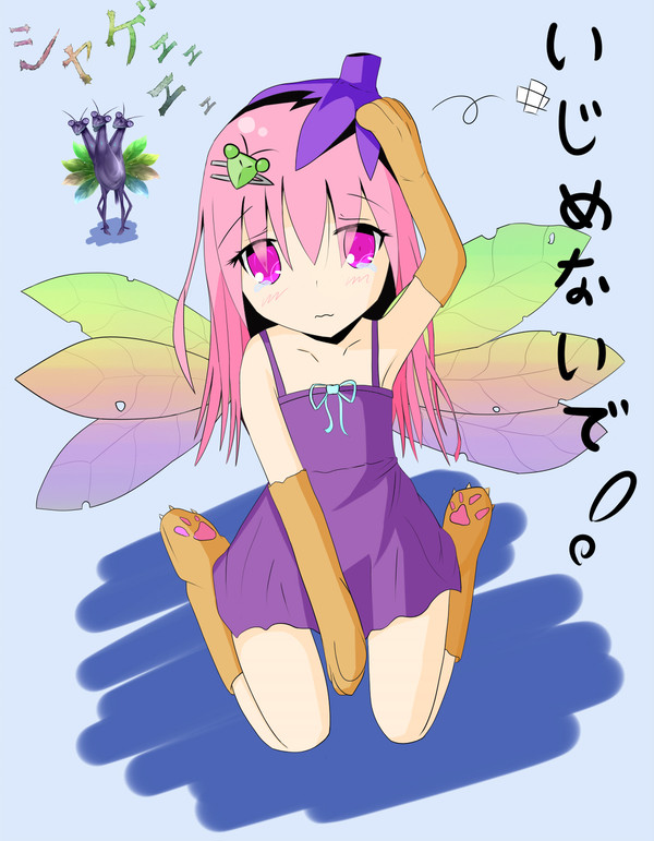 イヌカマキリナスとは