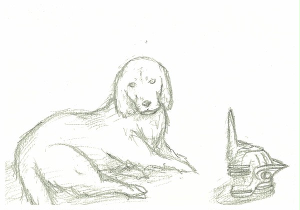犬＋α