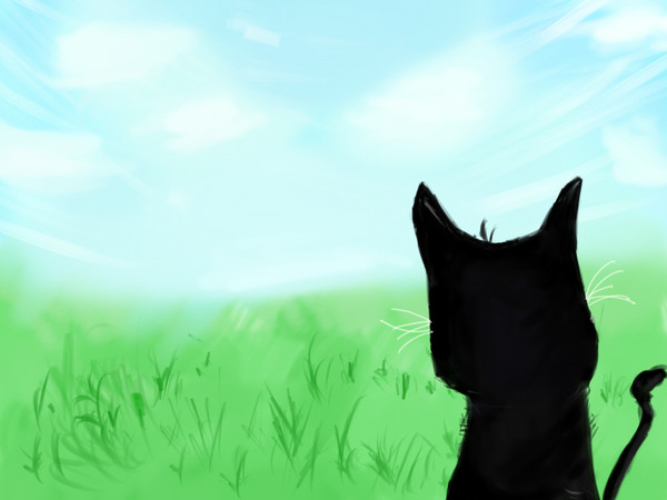 くろねこ