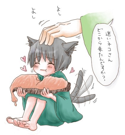 塩じゃけと菊にゃん