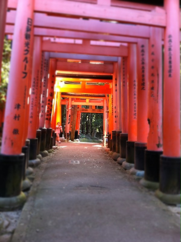 鳥居の隙間