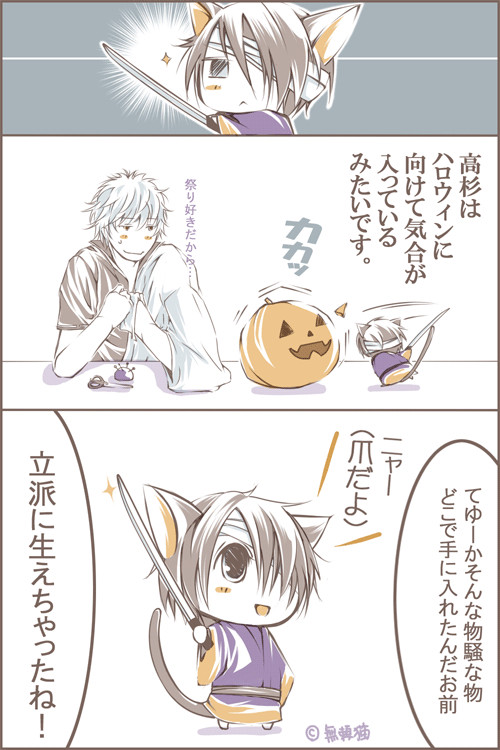 猫杉８　ハロウィン