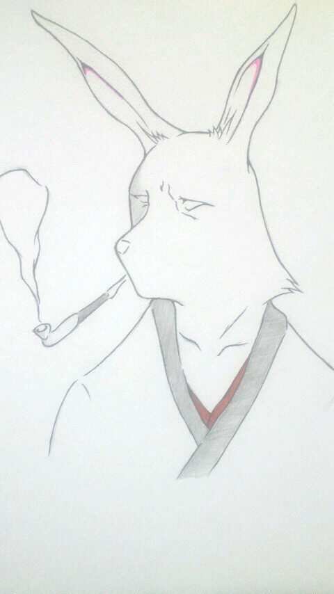 卯