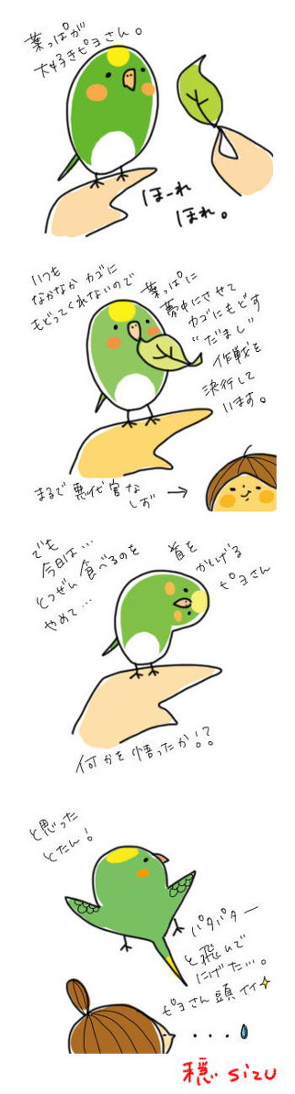 ぴよさんたら。