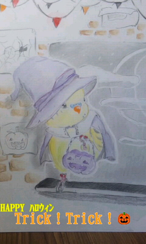 仮装インコ（ﾊﾛｳｨﾝ）