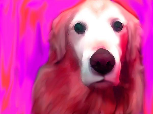 DOG in pink