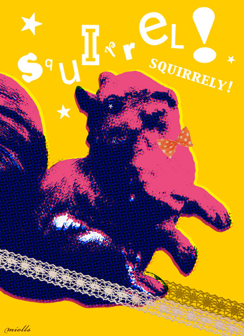 squirrel