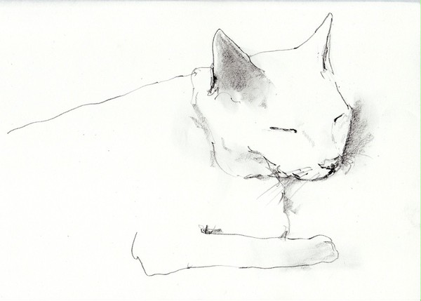 ねるねこ