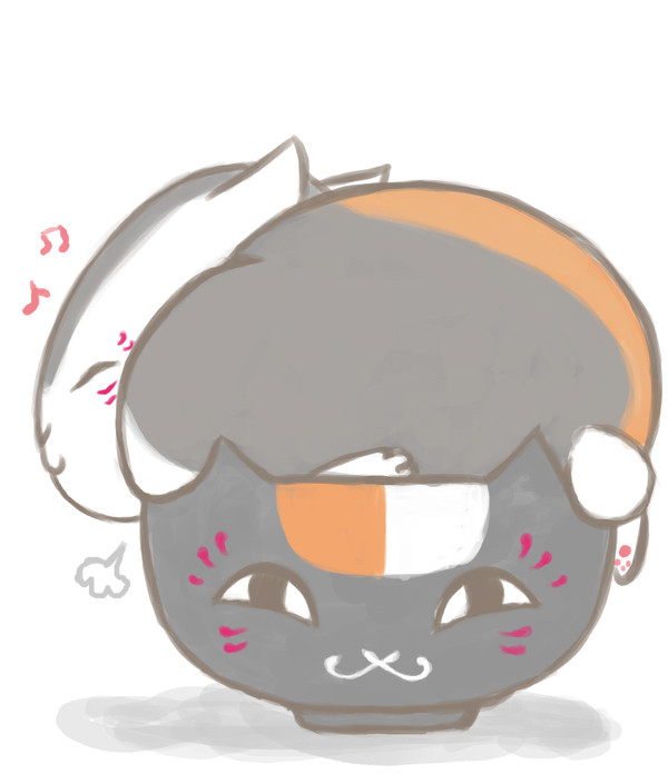 どんぶり貰ったー