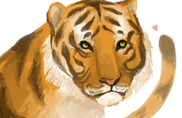 Tora Tora