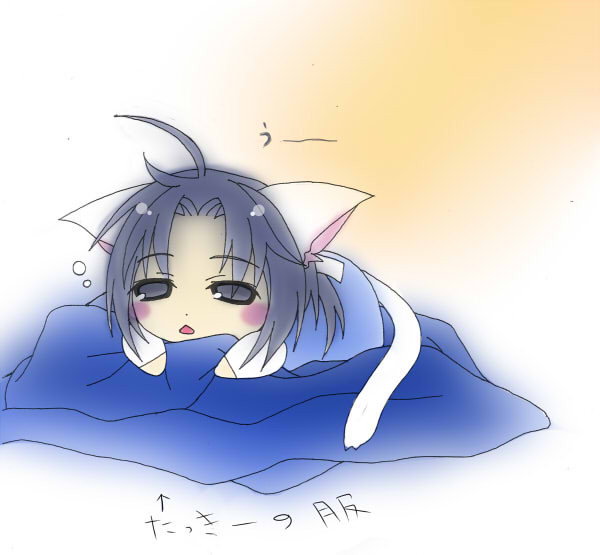 信包にゃん