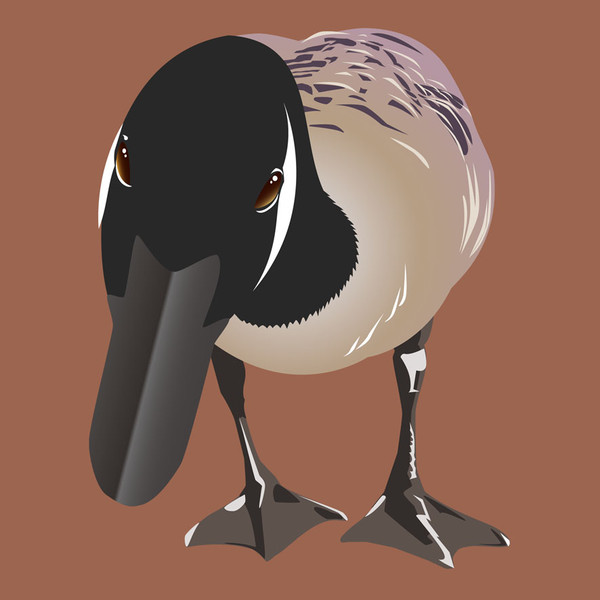 カナダガン？