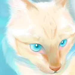 ねこ