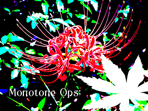 Monotone Ops;