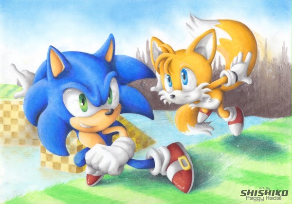 Level Sonic and Boss Tails