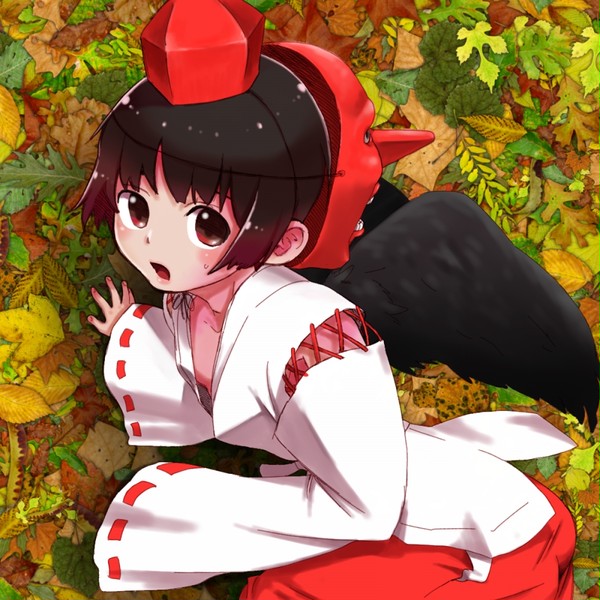 鴉天狗な菊を押し倒し隊