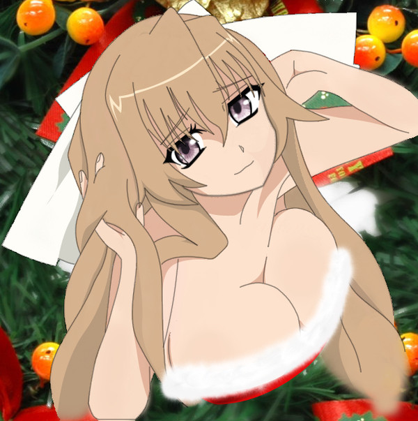 葵・喜美　サンタver