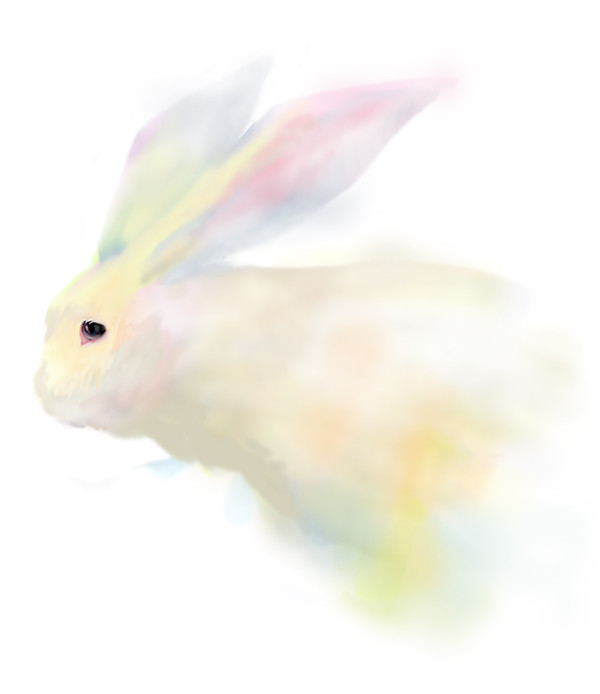 うさぎ