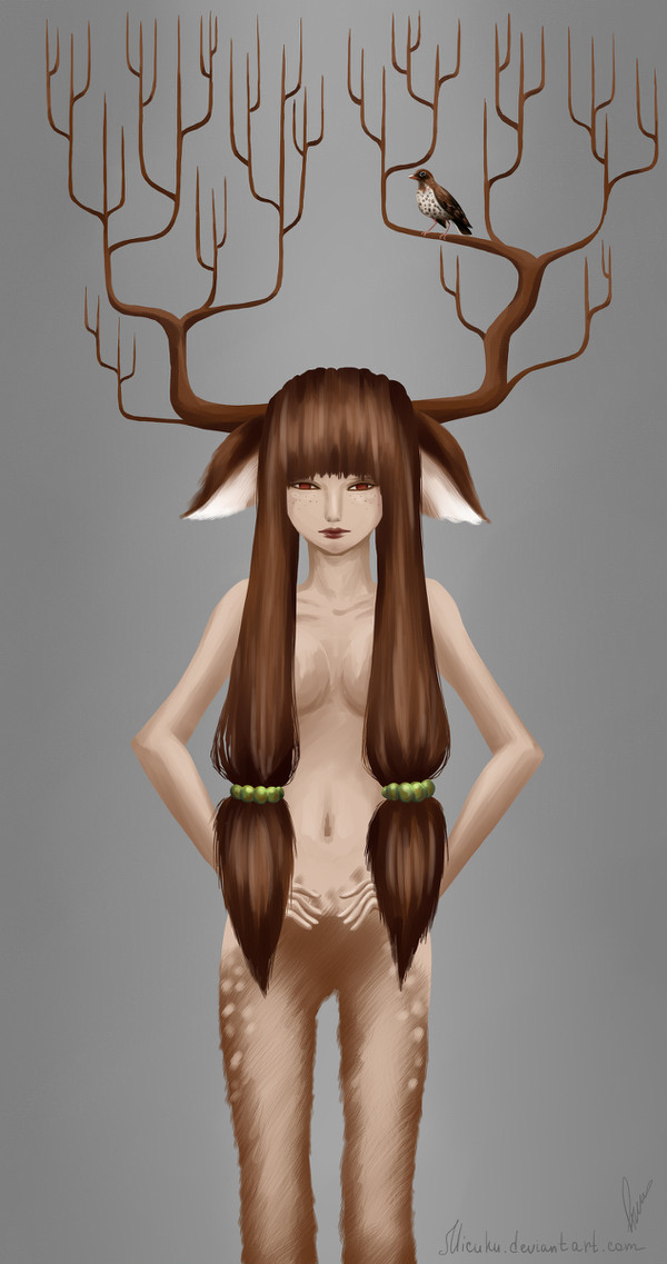 DEER