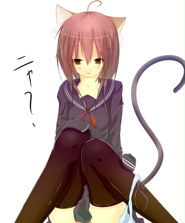 猫耳
