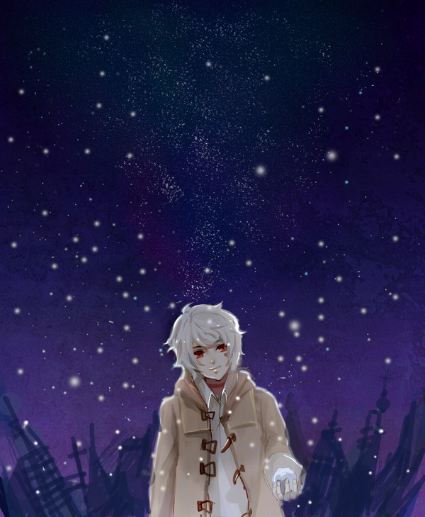 雪が降るの夜