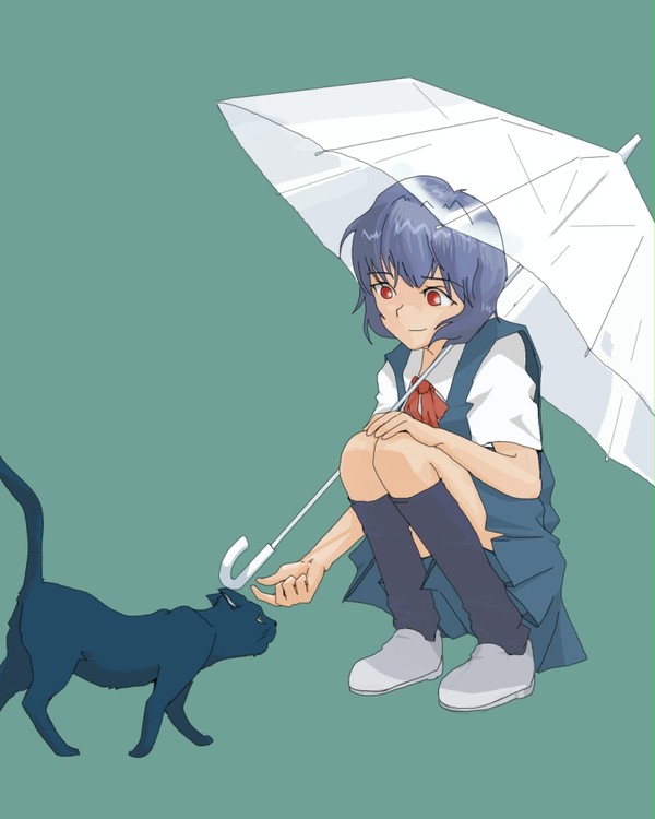 綾波、猫