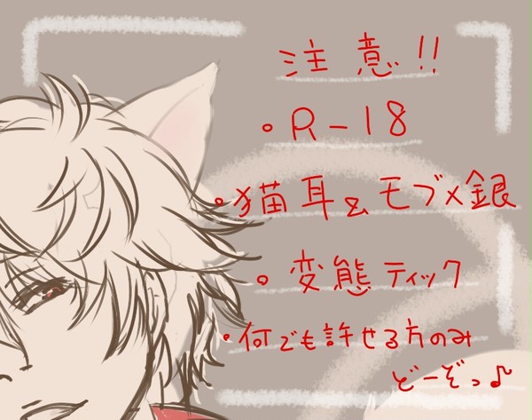 【R-18】猫耳とか【銀受け】