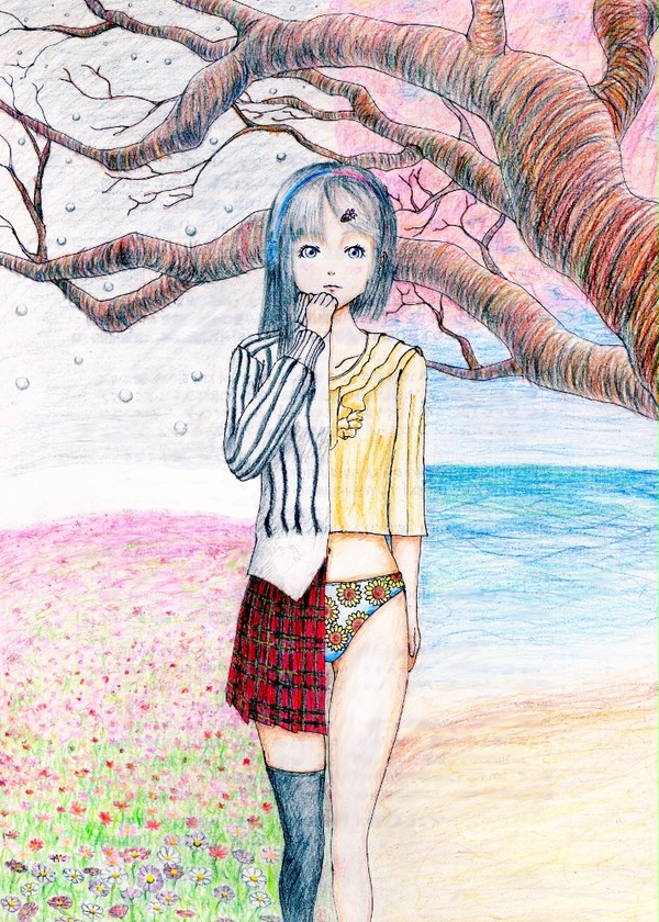 春夏秋冬