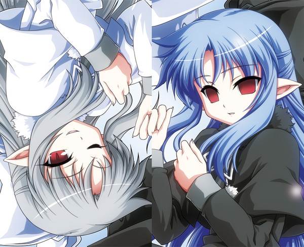 C81用に