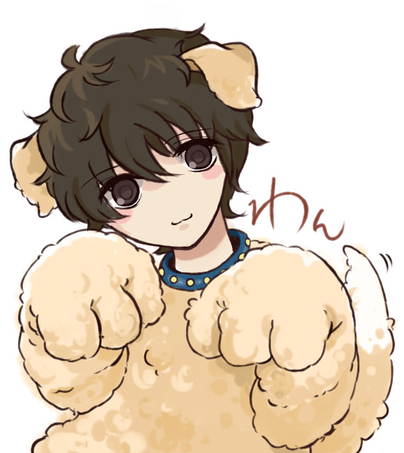 わん