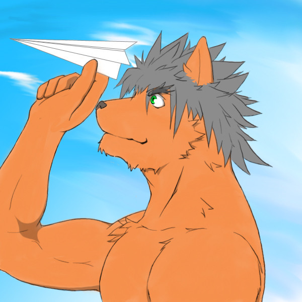 カミヒコーキ