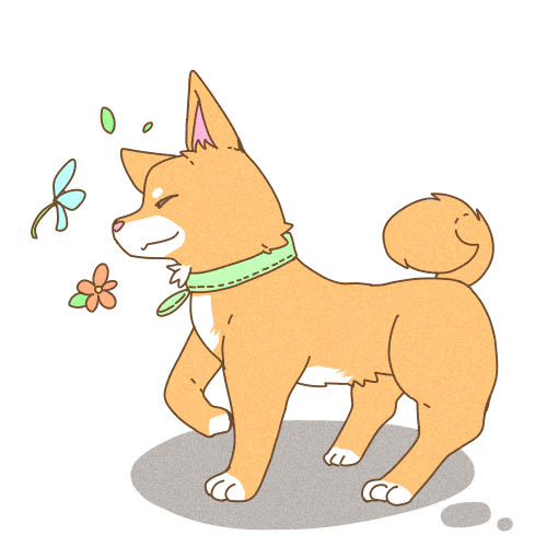 しばわん