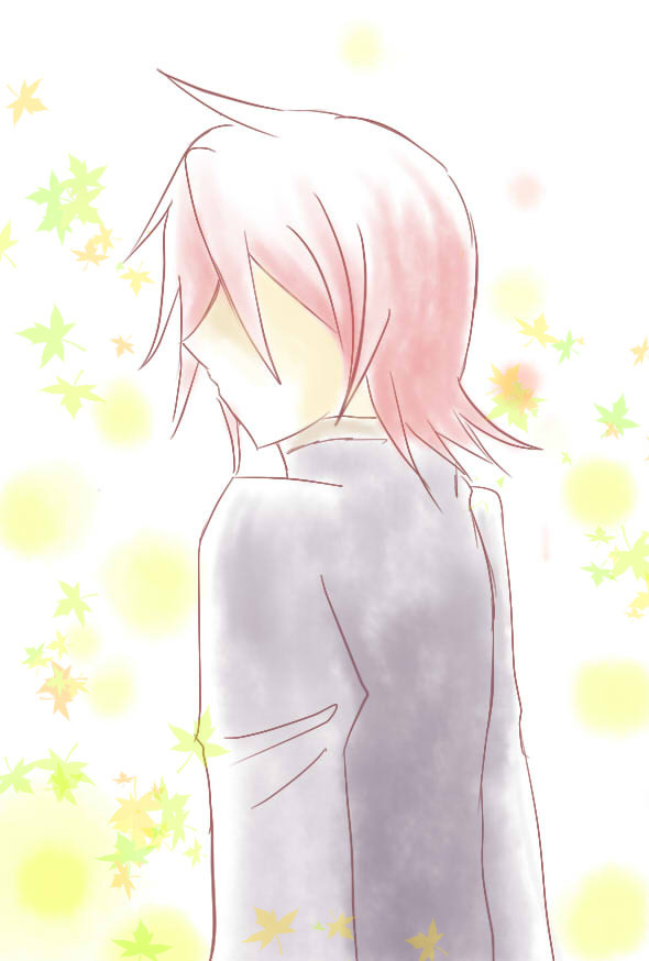 11/26